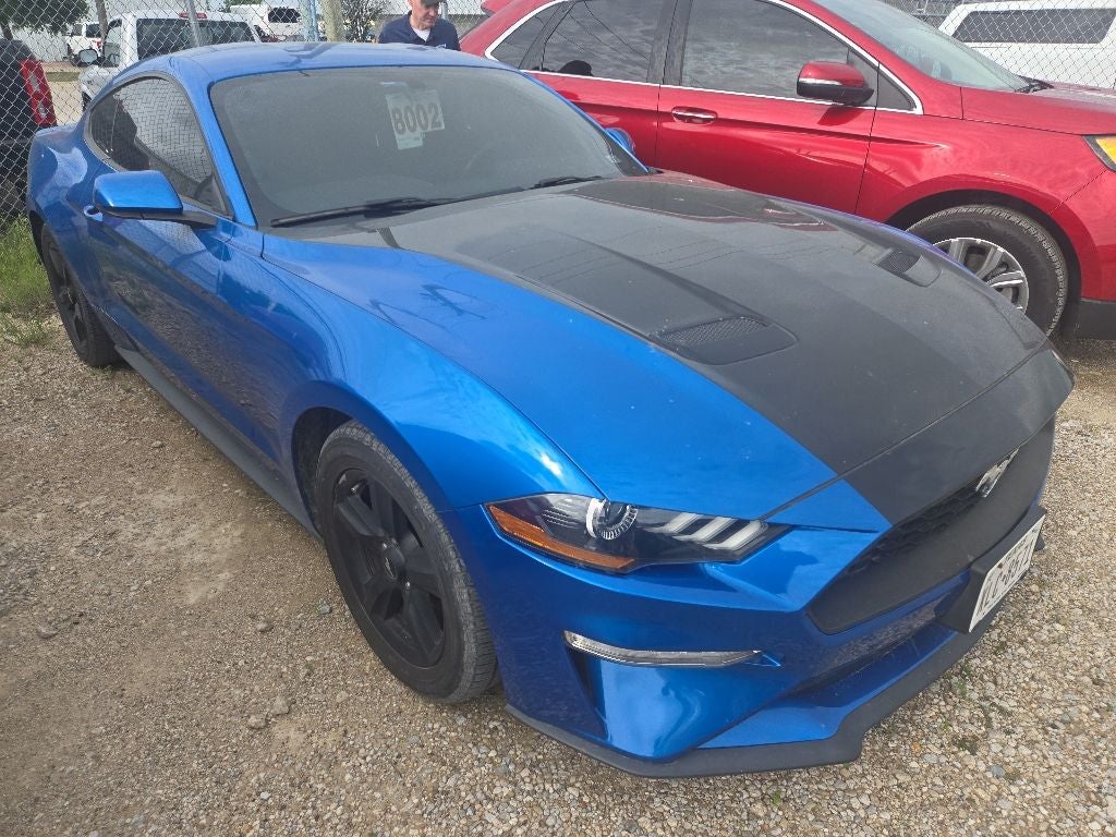 2019 Ford Mustang EcoBoost
