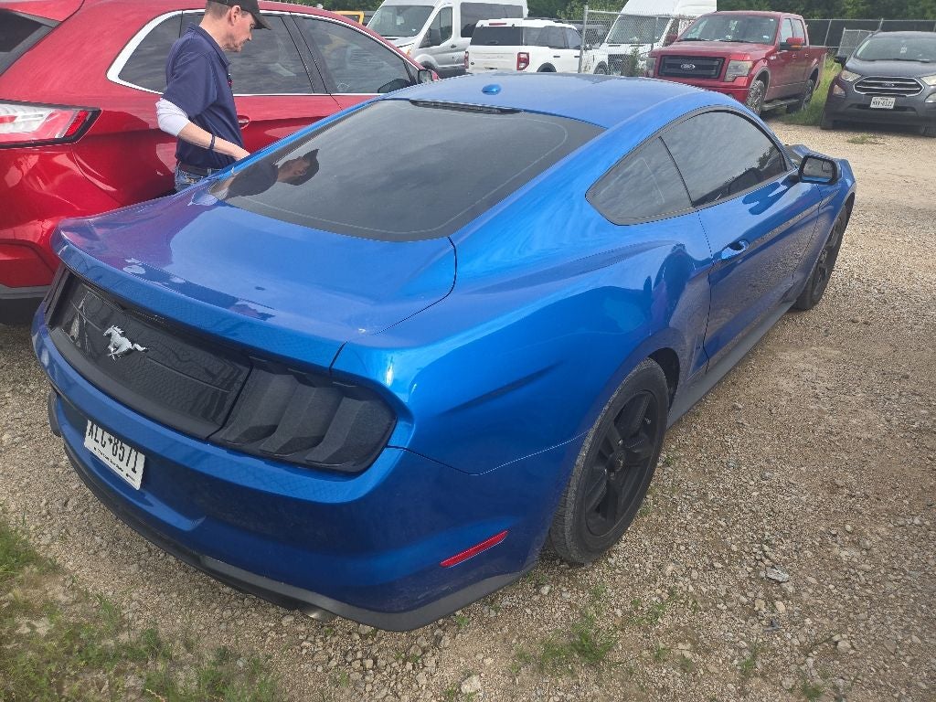 2019 Ford Mustang EcoBoost