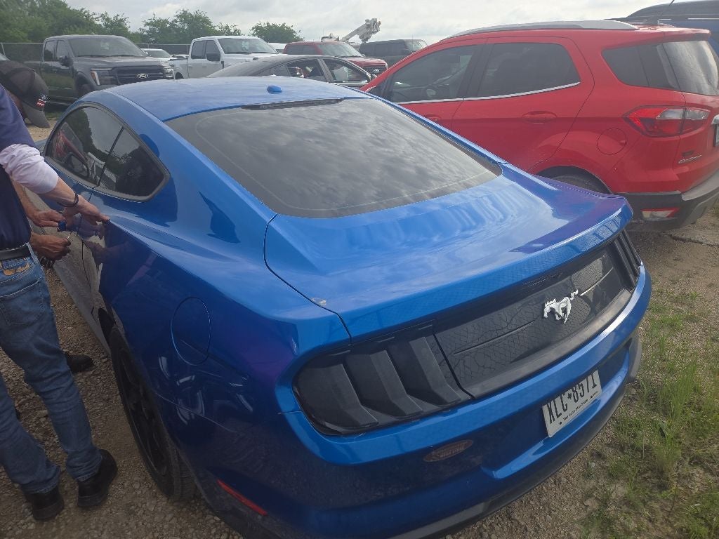 2019 Ford Mustang EcoBoost